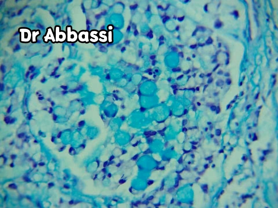 Laboratoire d'anatomie pathologique à Bordj El Bahri, Alger — photo 2